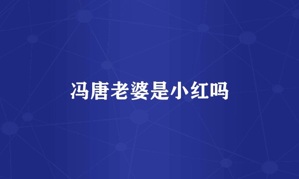 冯唐老婆是小红吗