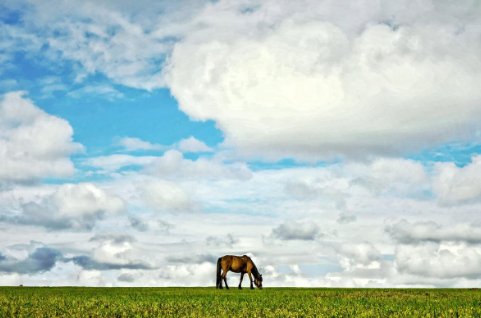 一马平川的意思