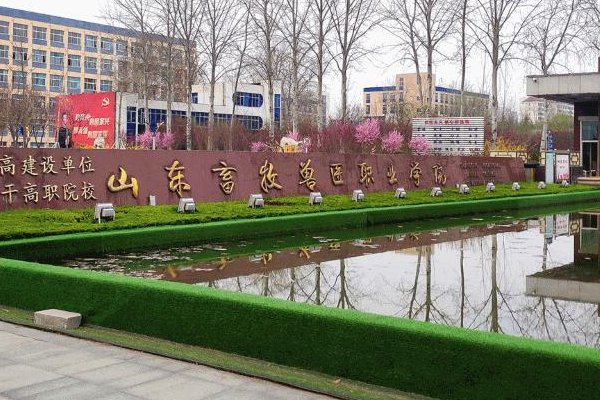 申聪上的什么学校