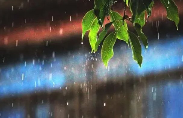 细雨绵绵什么意思