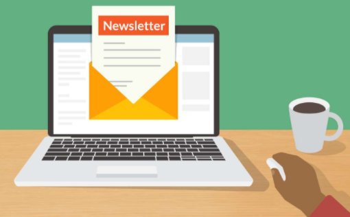 newsletter的中文意思是什么？