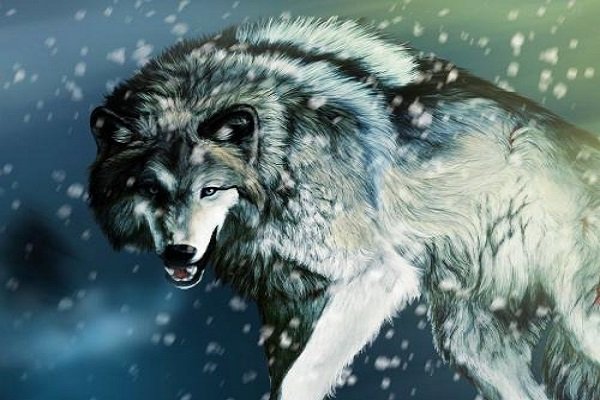 大熊猫有哪些天敌？