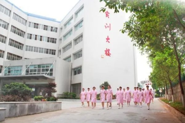 卫校2023年分数线是多少？