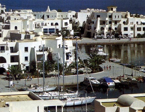 突尼斯市的语言