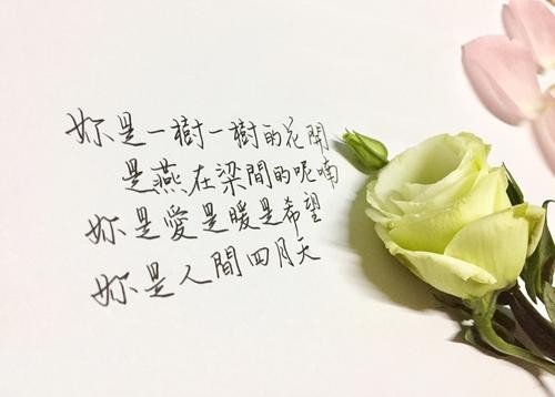 人间最美四月天下一句怎么接？