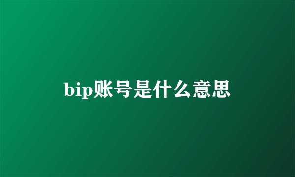 bip账号是什么意思