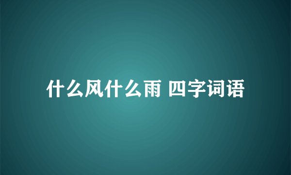 什么风什么雨 四字词语