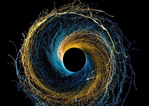 维度是什么东西？