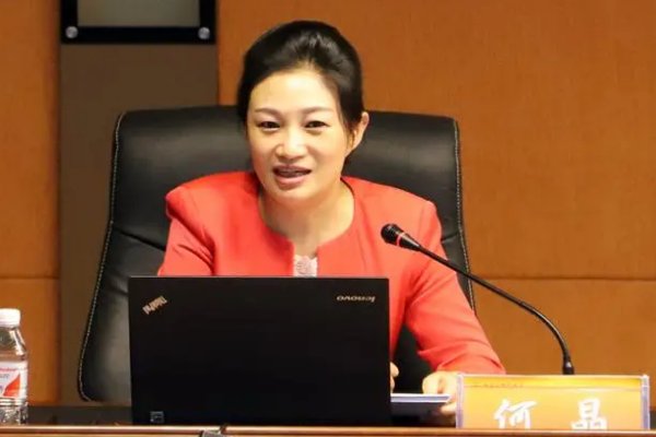 何晶文旅厅厅长简历