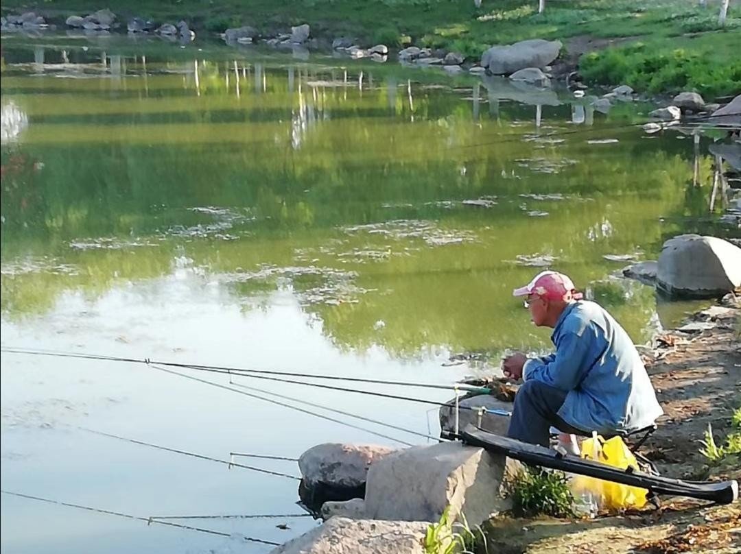 drop in是什么意思