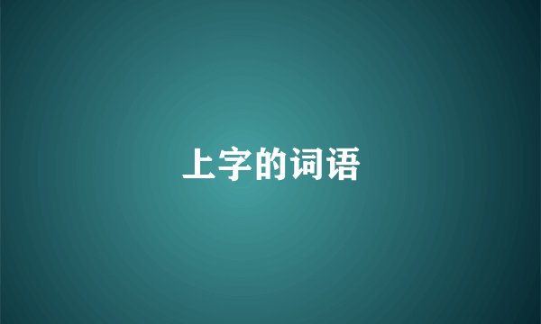 上字的词语