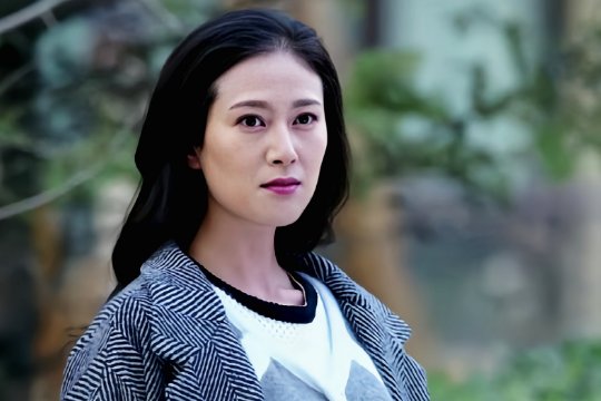 电视剧夫妻剧情分集介绍