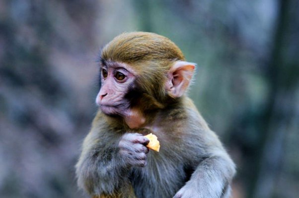 属龙一生最克3个人