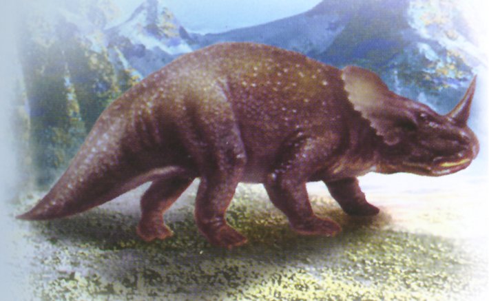 独角龙的基本信息