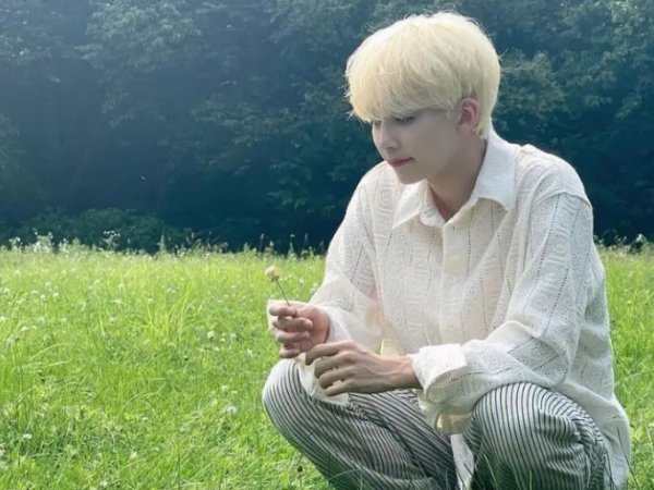 seventeen成员简介