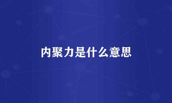 内聚力是什么意思