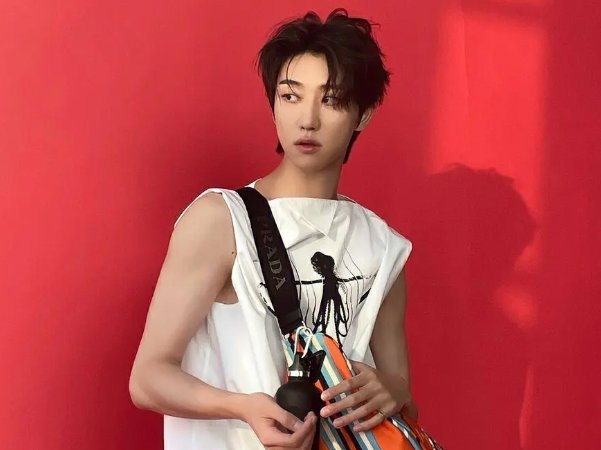 seventeen成员简介