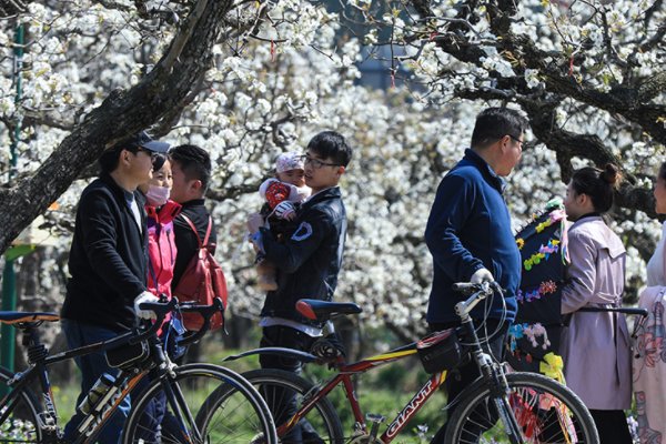 游人如织是什么意思?