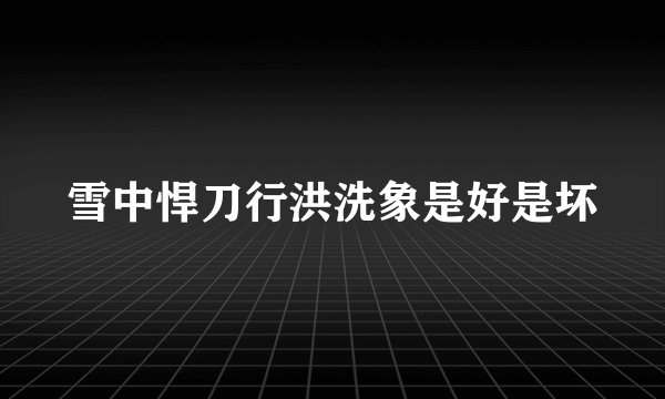 雪中悍刀行洪洗象是好是坏