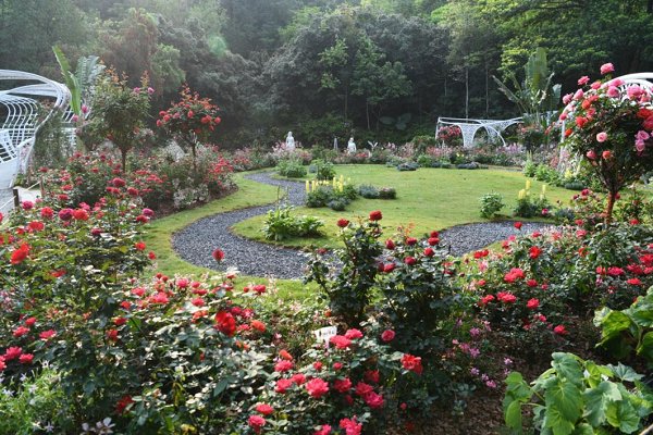 garden是不是花园