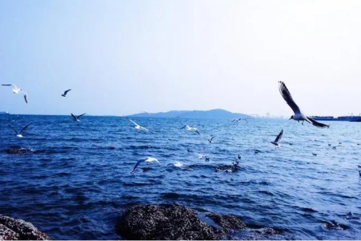 蔚为壮观怎么读