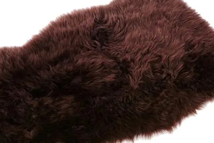 皮毛的拼音怎么写的拼音