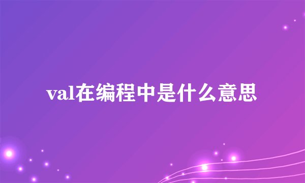 val在编程中是什么意思