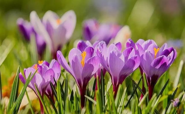 心灵深处的人是什么意思!