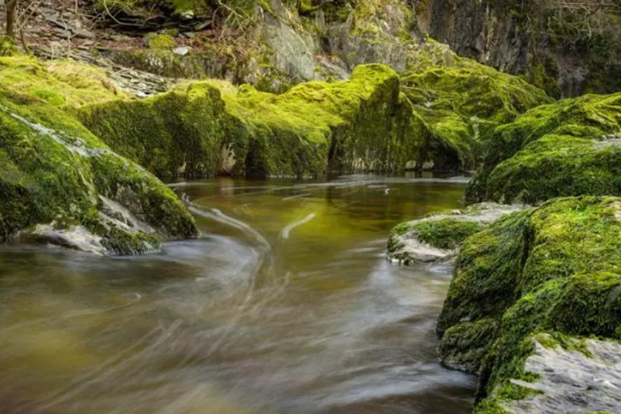 chuan是什么意思