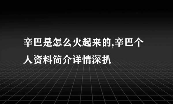 辛巴是怎么火起来的,辛巴个人资料简介详情深扒