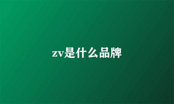 zv是什么品牌