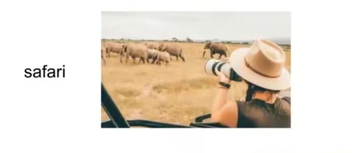 safari是什么意思