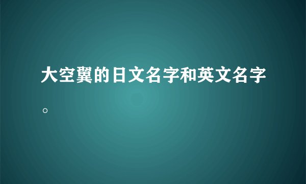 大空翼的日文名字和英文名字。