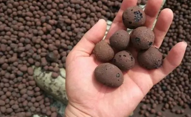 回填宝跟陶粒哪个好