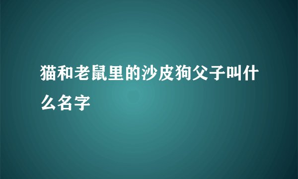 猫和老鼠里的沙皮狗父子叫什么名字