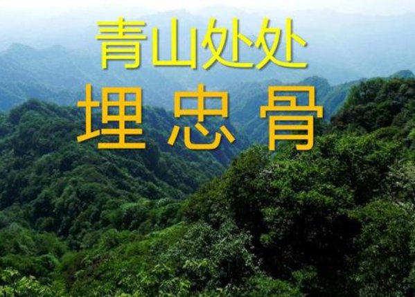 落红不是无情物化作春泥更护花出处是哪里？