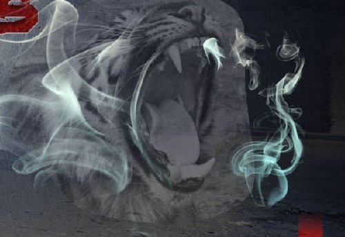 气功波的基本简介