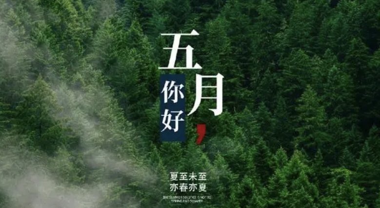 描写五月开头的优美句子