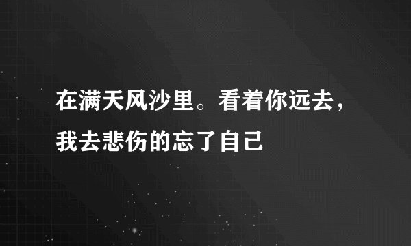 在满天风沙里。看着你远去，我去悲伤的忘了自己