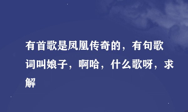 有首歌是凤凰传奇的，有句歌词叫娘子，啊哈，什么歌呀，求解