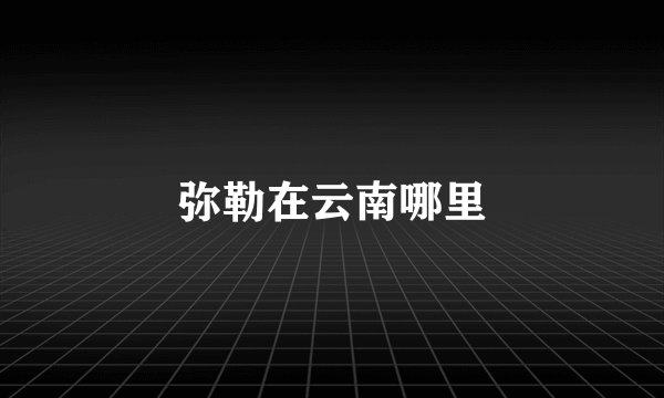 弥勒在云南哪里