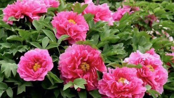 发朋友圈正在营业句子