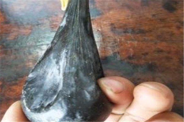 -人的胆量与胆有没有关系？