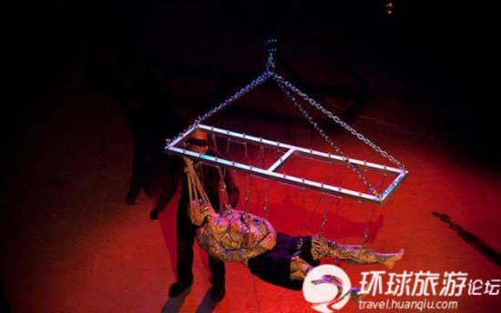 悬挂究竟是艺术还是自虐