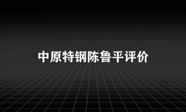 中原特钢陈鲁平评价