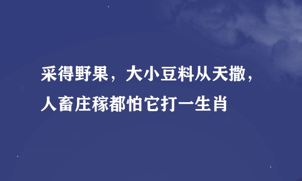 采得野果，大小豆料从天撒，人畜庄稼都怕它打一生肖