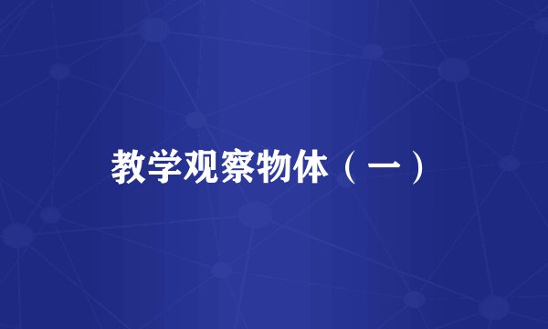 教学观察物体（一）