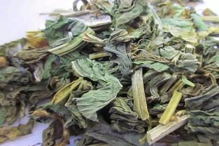 零陵香对治疗各种呼吸疾病都有很好的效果，但是有什么禁忌？