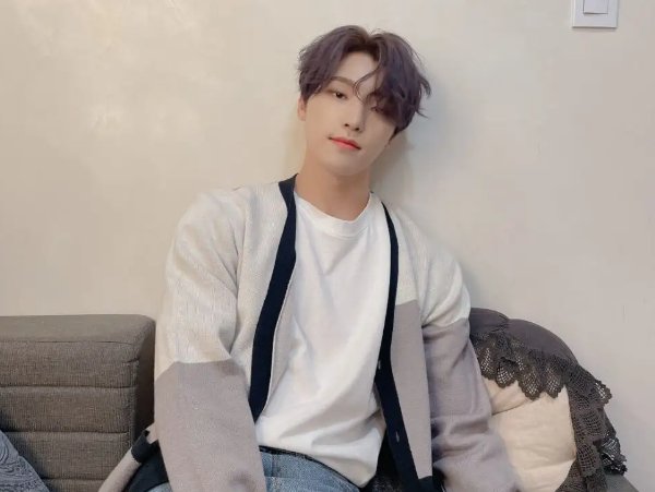 seventeen成员简介