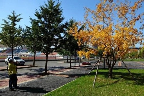 沈阳农业大学邮政编码